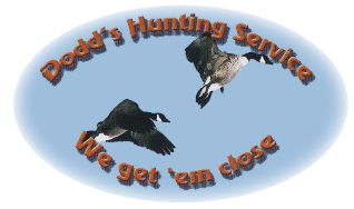 hunting services